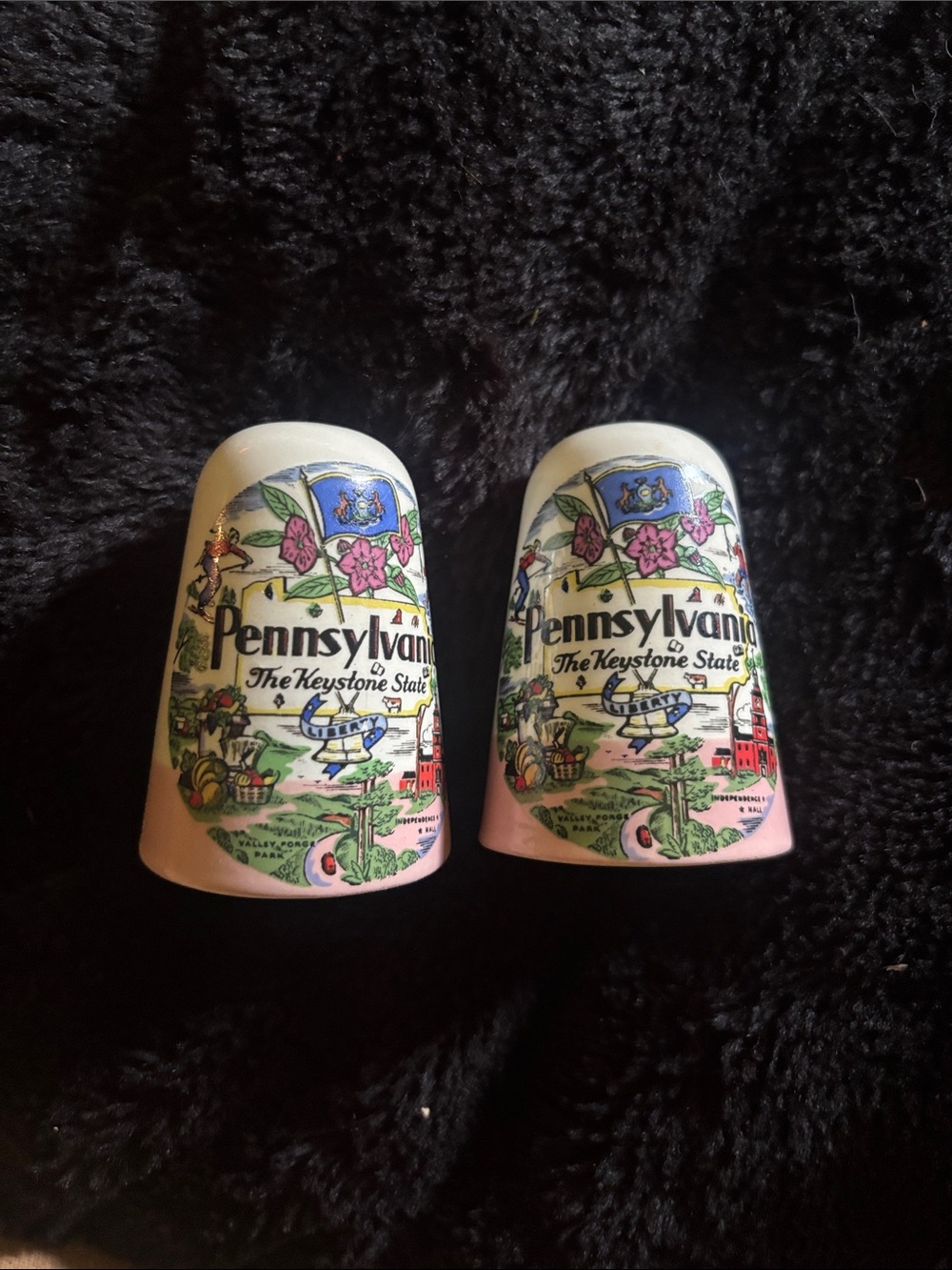 Cottagecore Pennsylvania vintage, Pink Ceramic Souvenir Salt and Pepper shakers